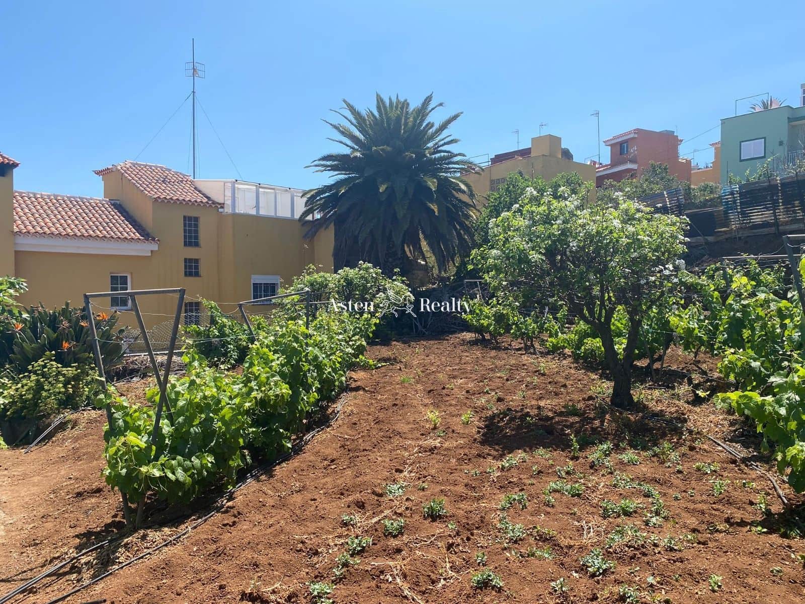 Bouwgrond te koop in El Sauzal - € 245.000 (Ref: 6801815)