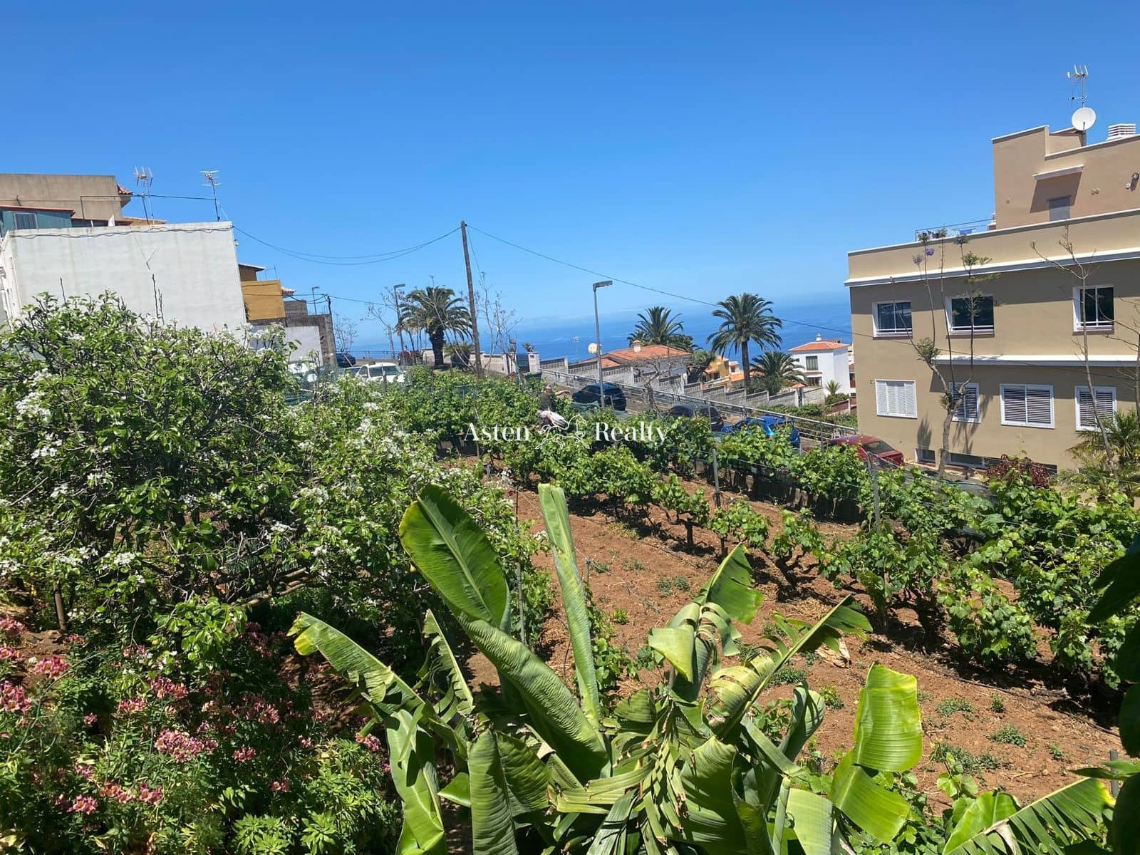 Bouwgrond te koop in El Sauzal - € 245.000 (Ref: 6801815)