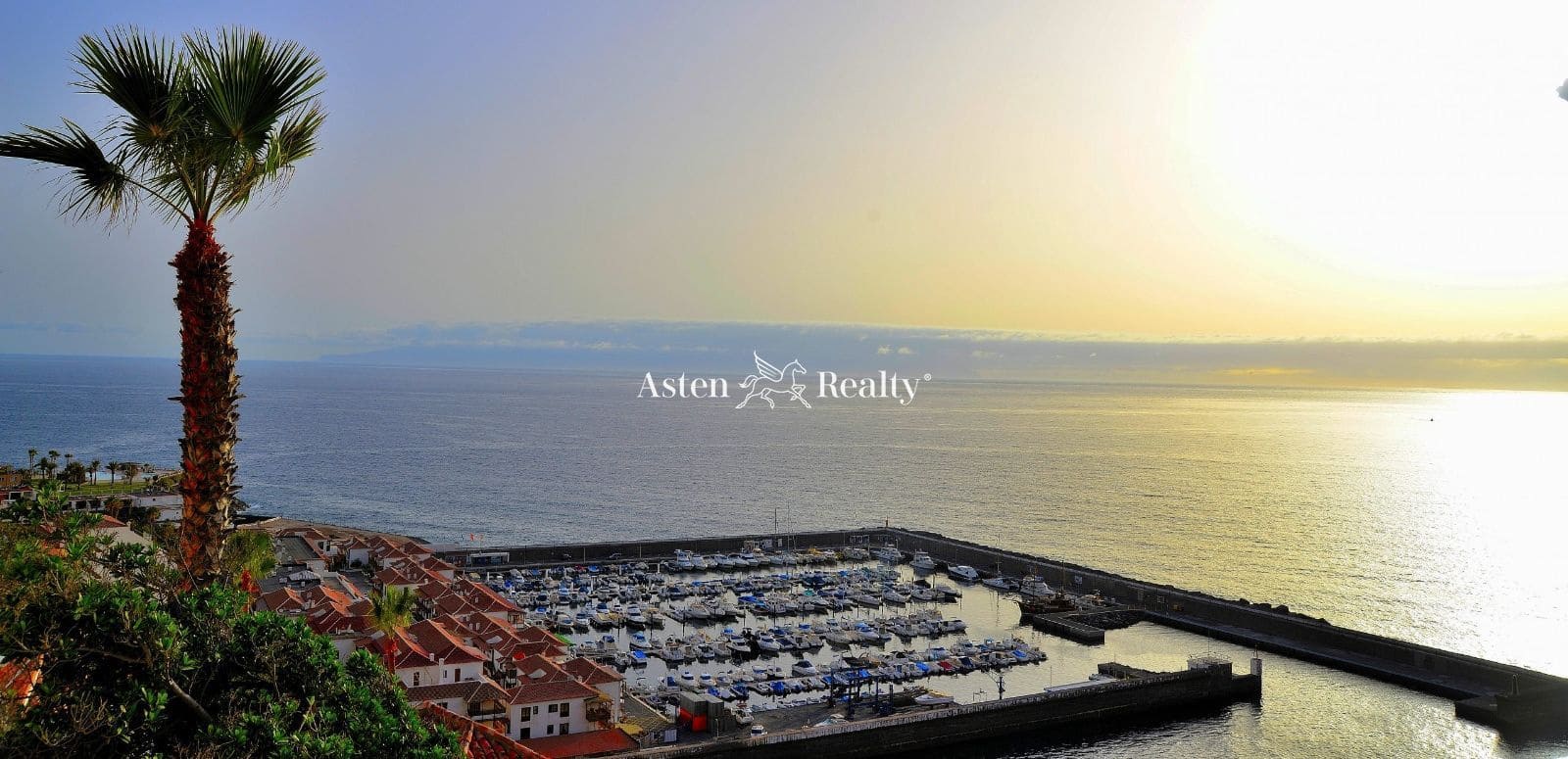 Virksomhed til salg i Los Gigantes - € 238.000 (Ref: 6804183)