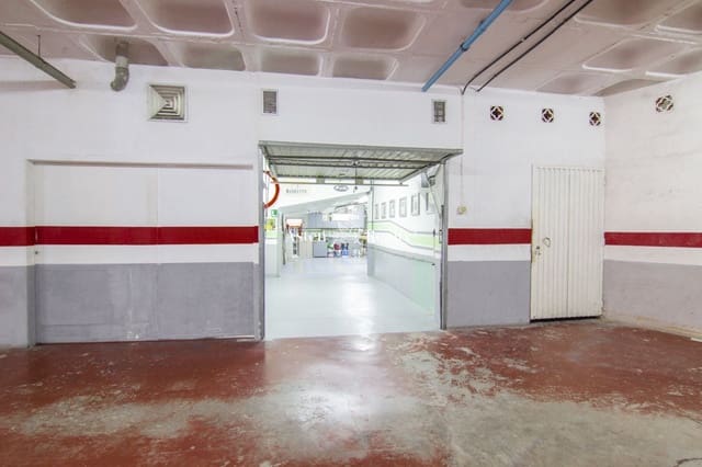 Bedrift til salgs i Puerto Santiago, Santiago del Teide - € 445 000 (Ref: 6884398)