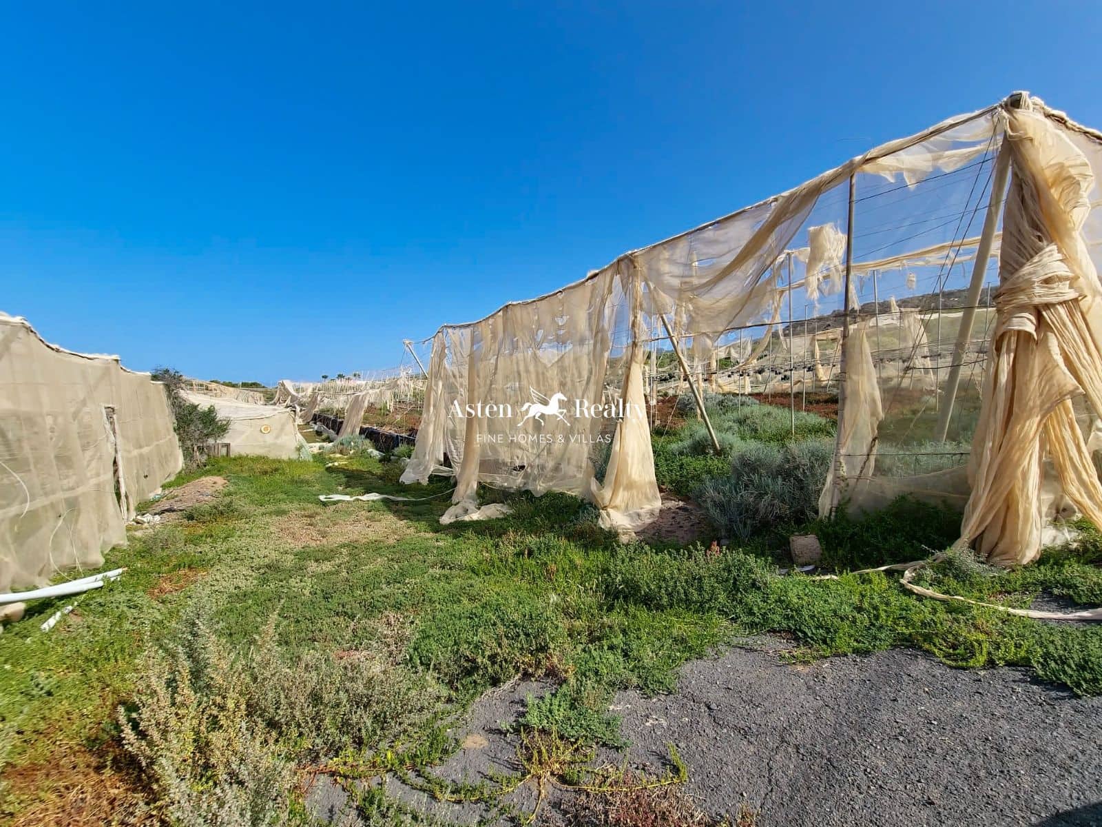 Bouwgrond te koop in Alcala - € 790.000 (Ref: 8213062)