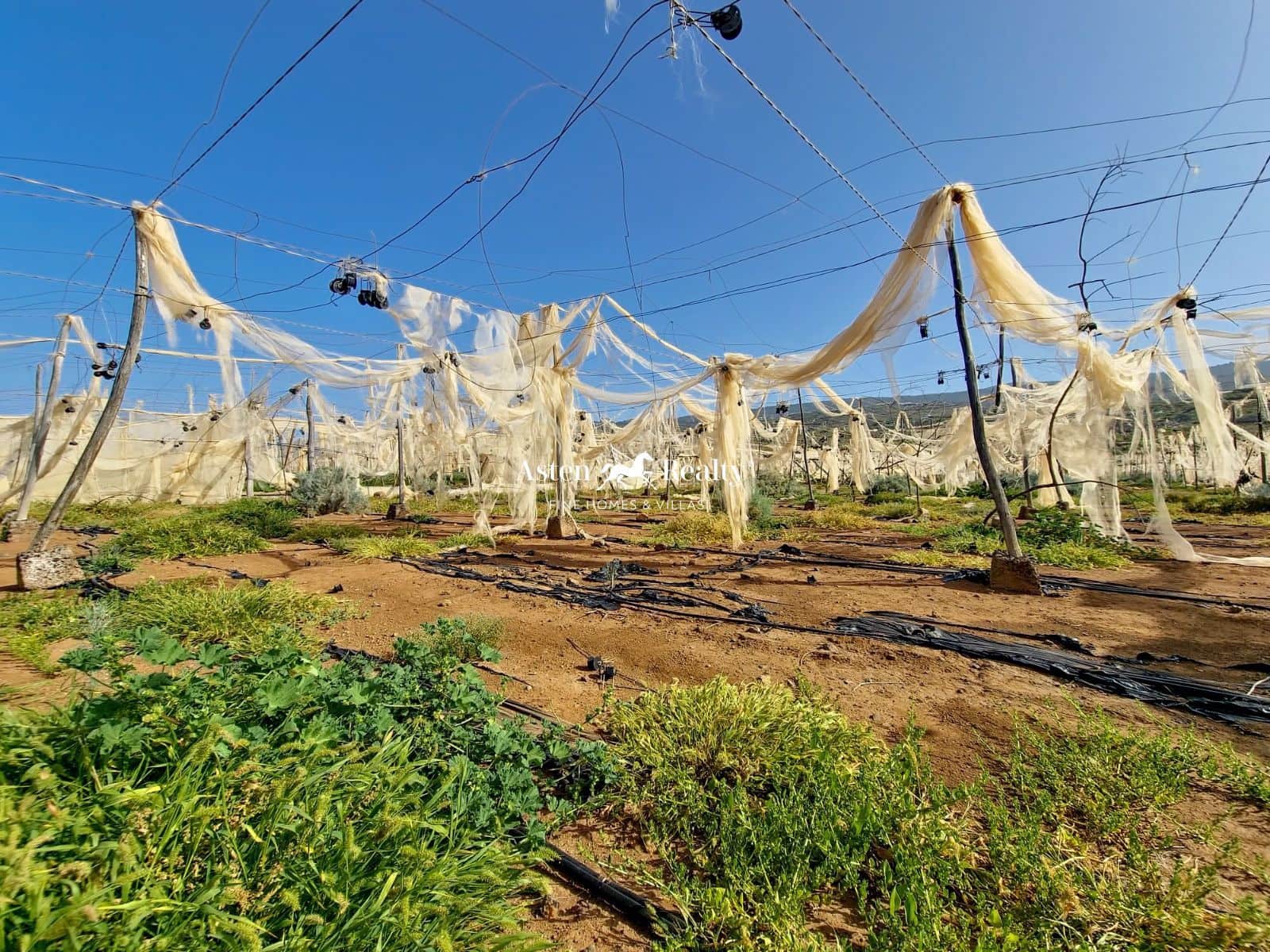 Bouwgrond te koop in Alcala - € 790.000 (Ref: 8213062)