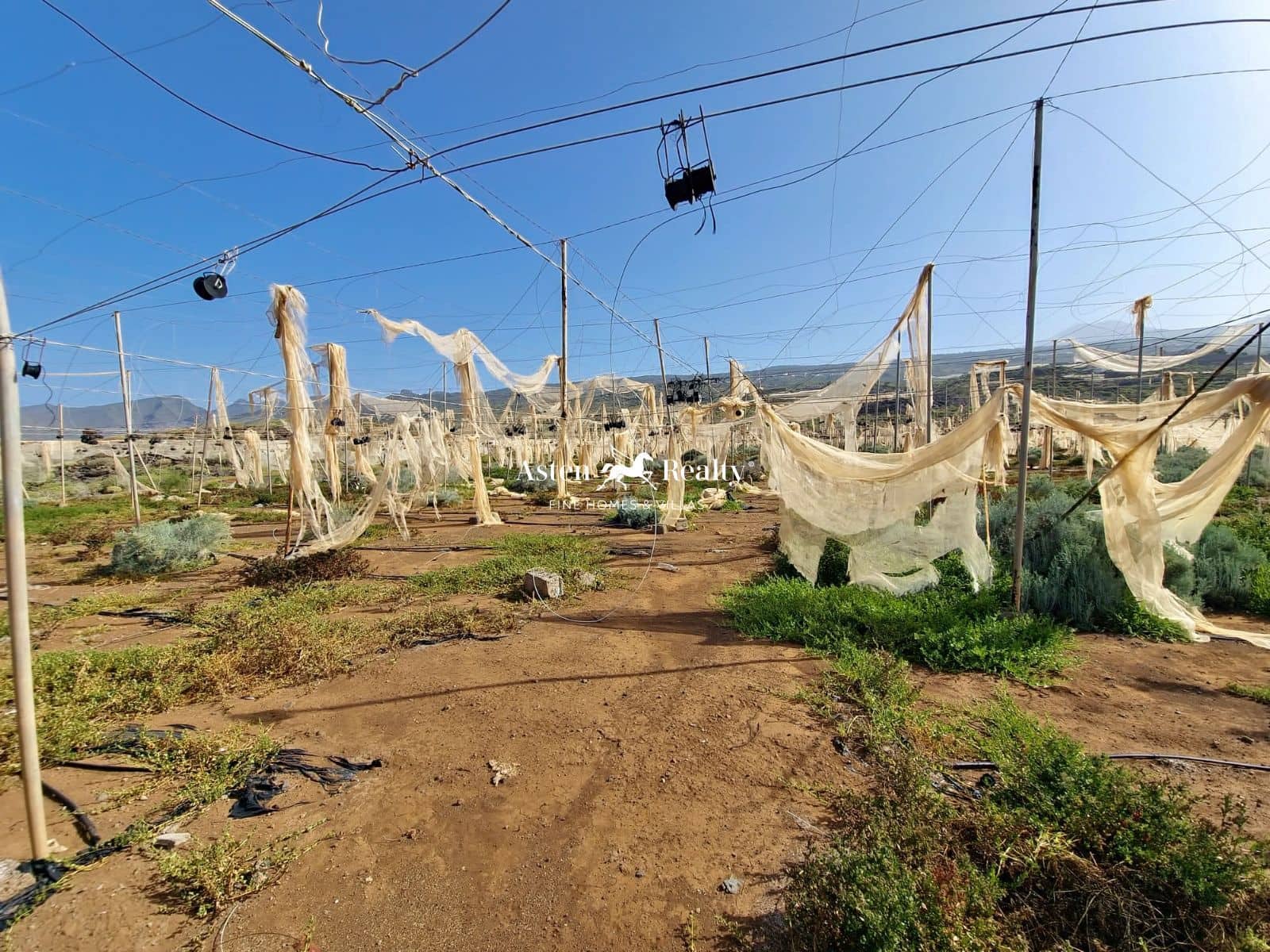 Bouwgrond te koop in Alcala - € 790.000 (Ref: 8213062)