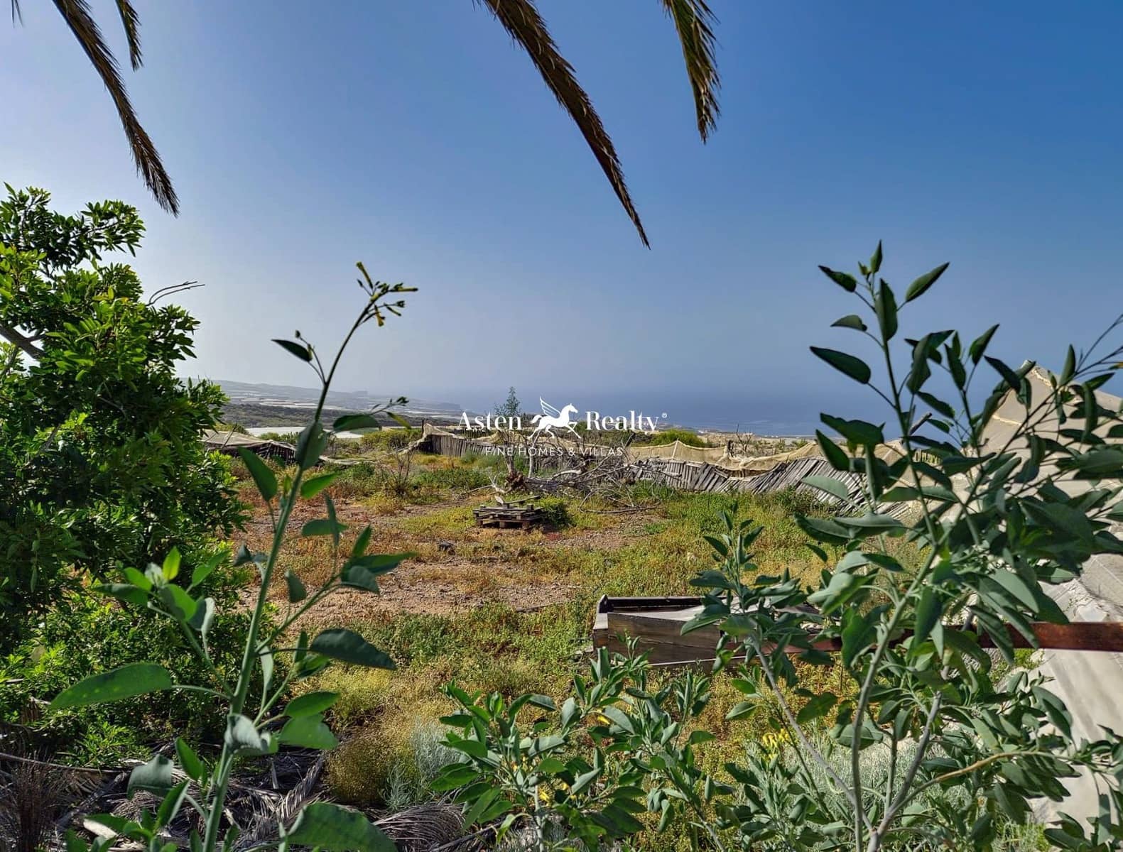 Bouwgrond te koop in Alcala - € 790.000 (Ref: 8213062)