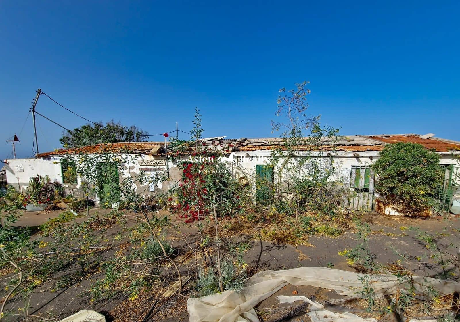 Bouwgrond te koop in Alcala - € 790.000 (Ref: 8213062)