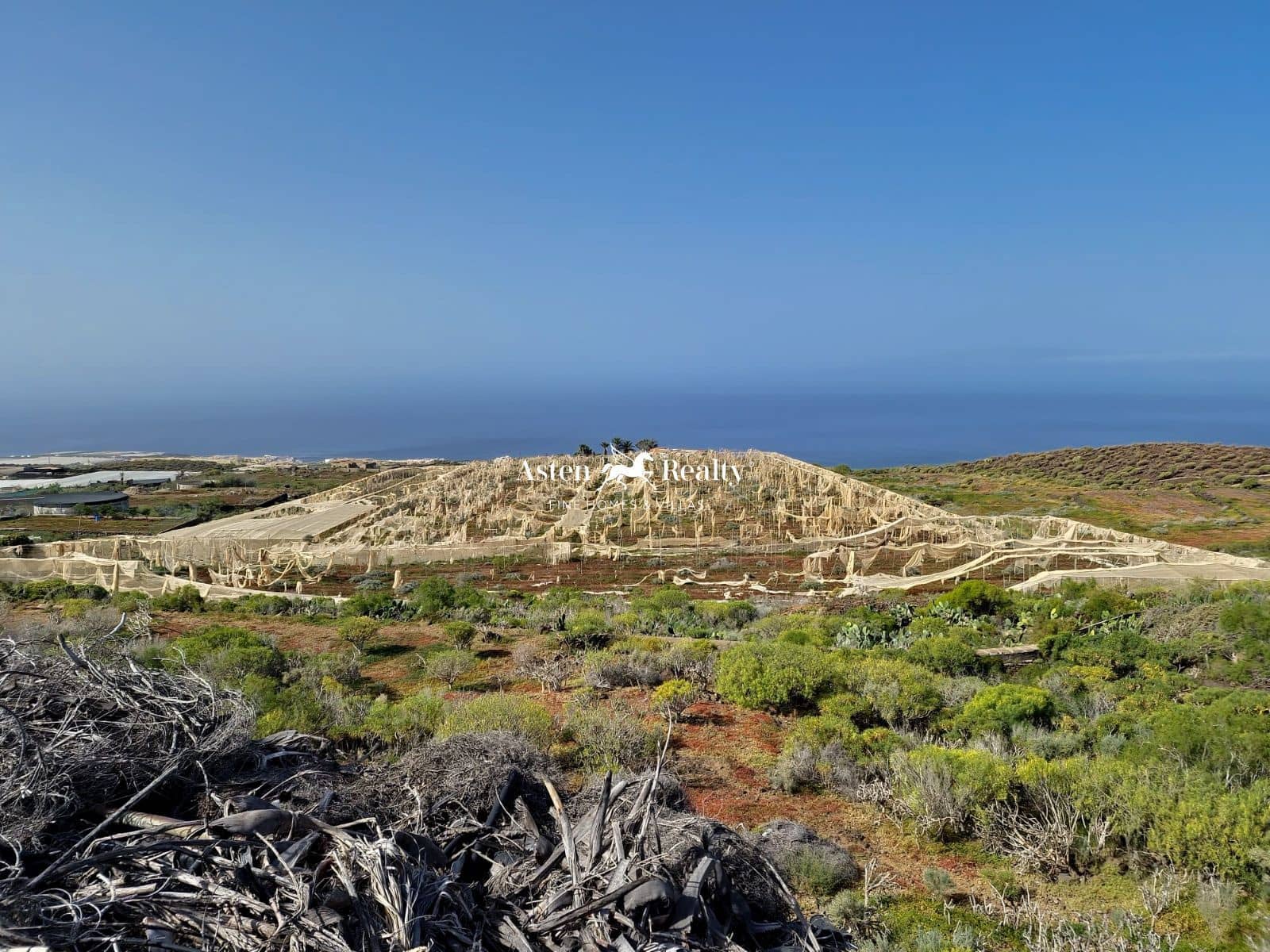 Bouwgrond te koop in Alcala - € 790.000 (Ref: 8213062)