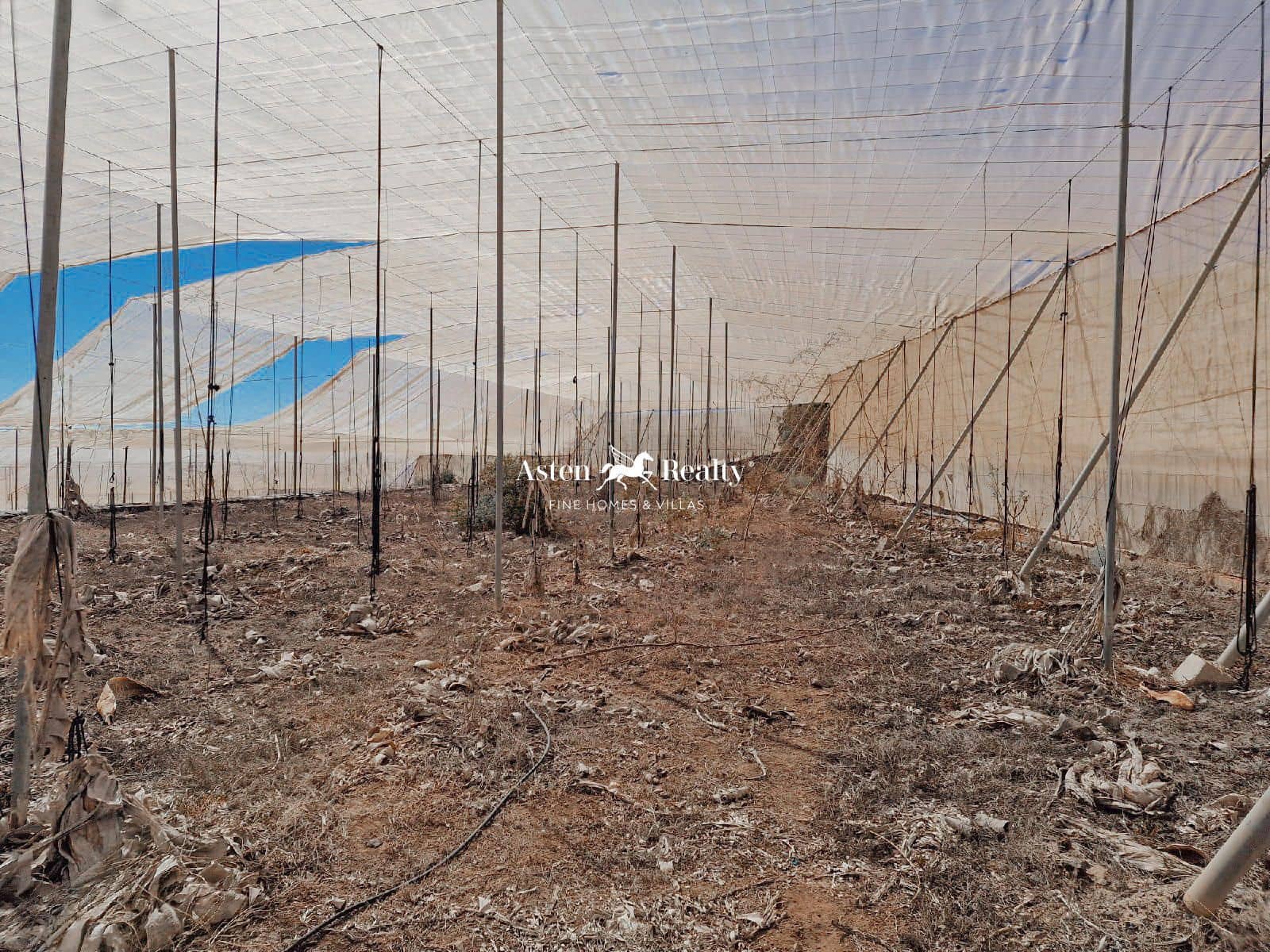 Byggegrund til salg i Guia de Isora - € 840.000 (Ref: 8438004)