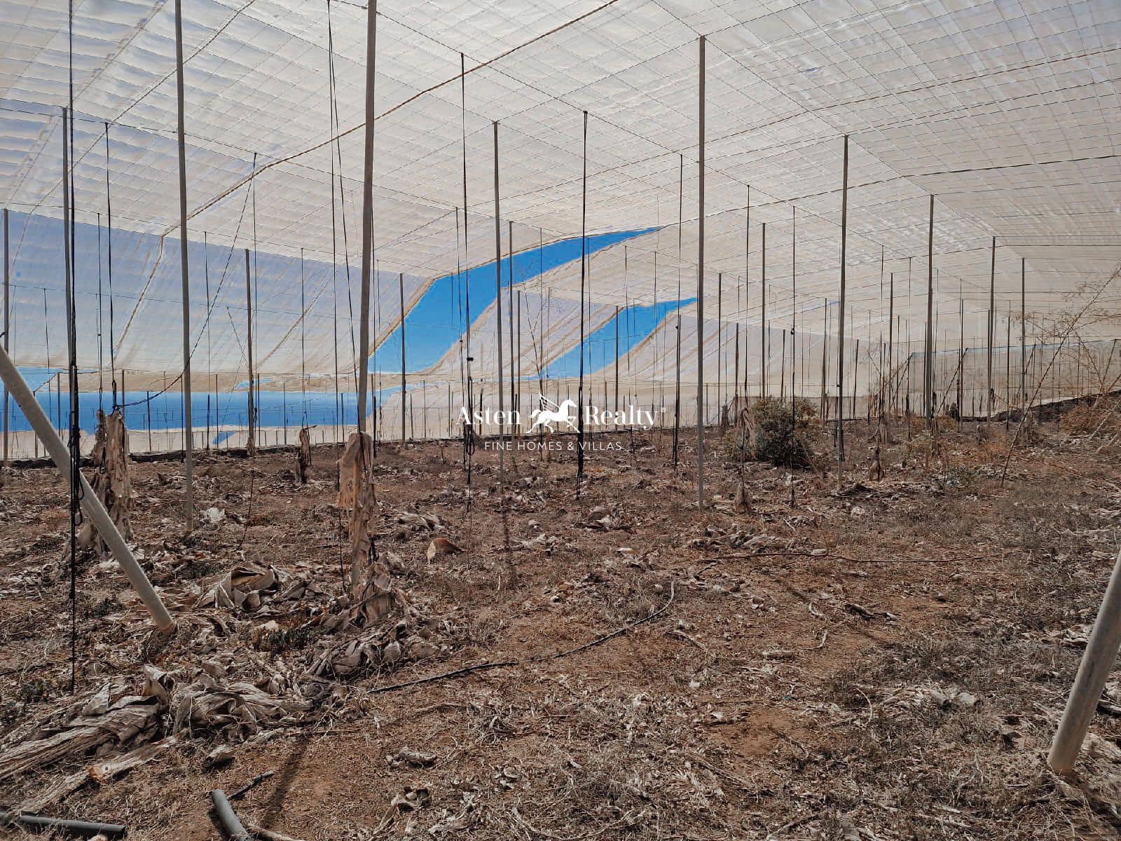 Byggegrund til salg i Guia de Isora - € 840.000 (Ref: 8438004)