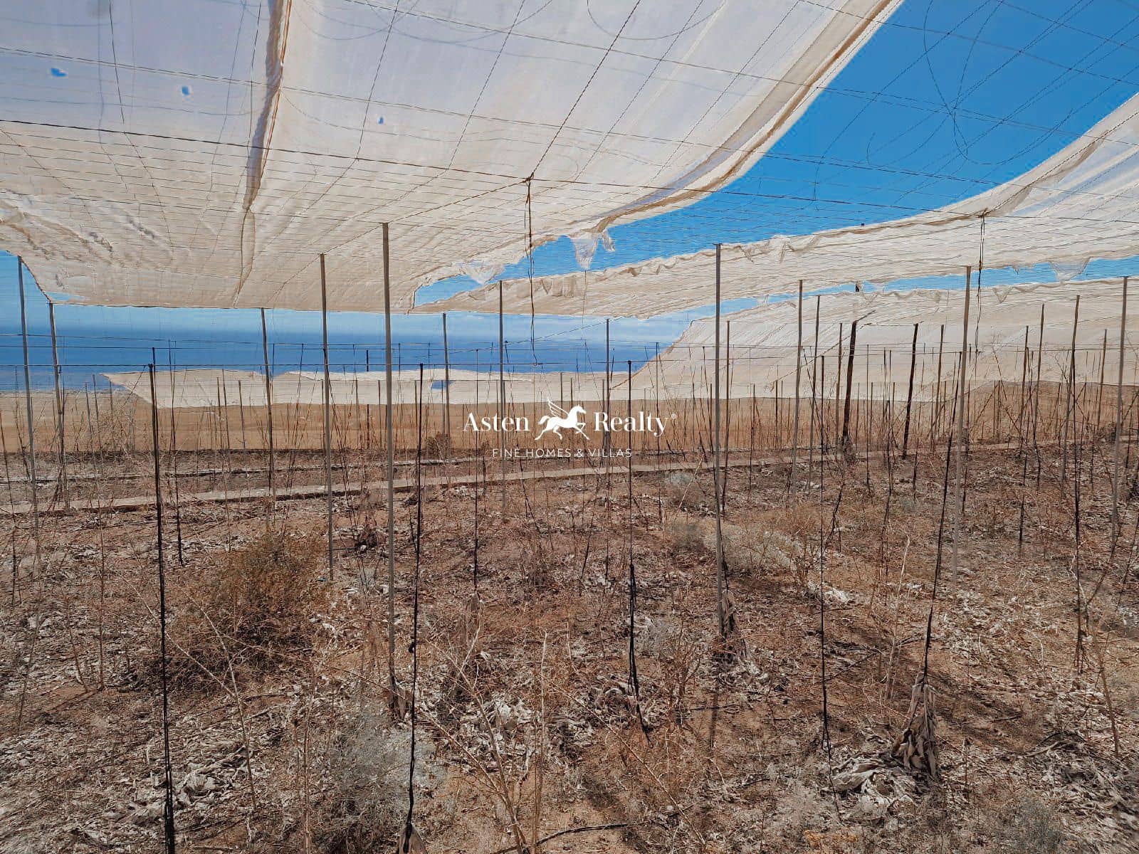 Byggegrund til salg i Guia de Isora - € 840.000 (Ref: 8438004)