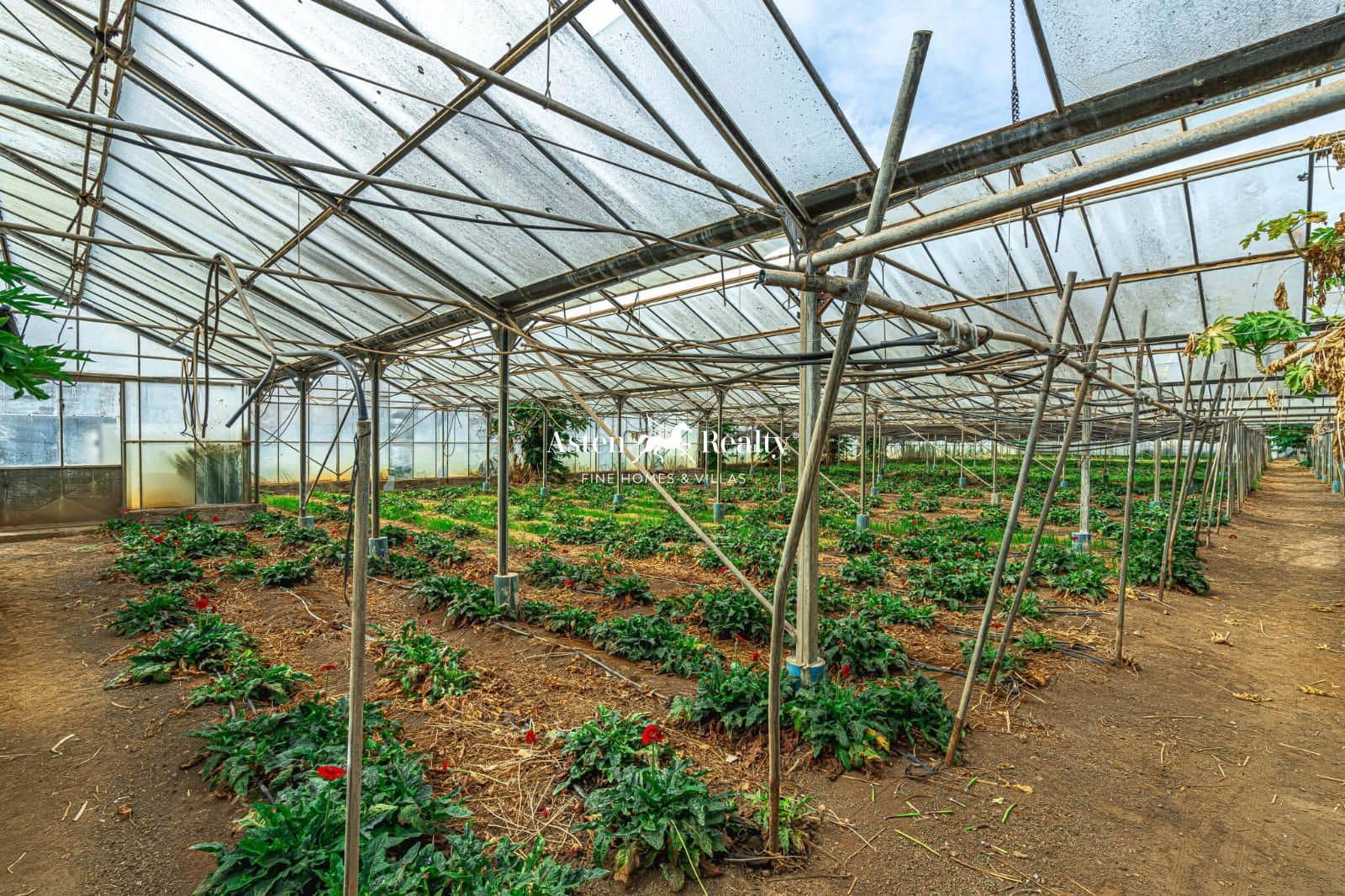 Byggetomt til salgs i San Cristobal de La Laguna - € 530 000 (Ref: 8546281)