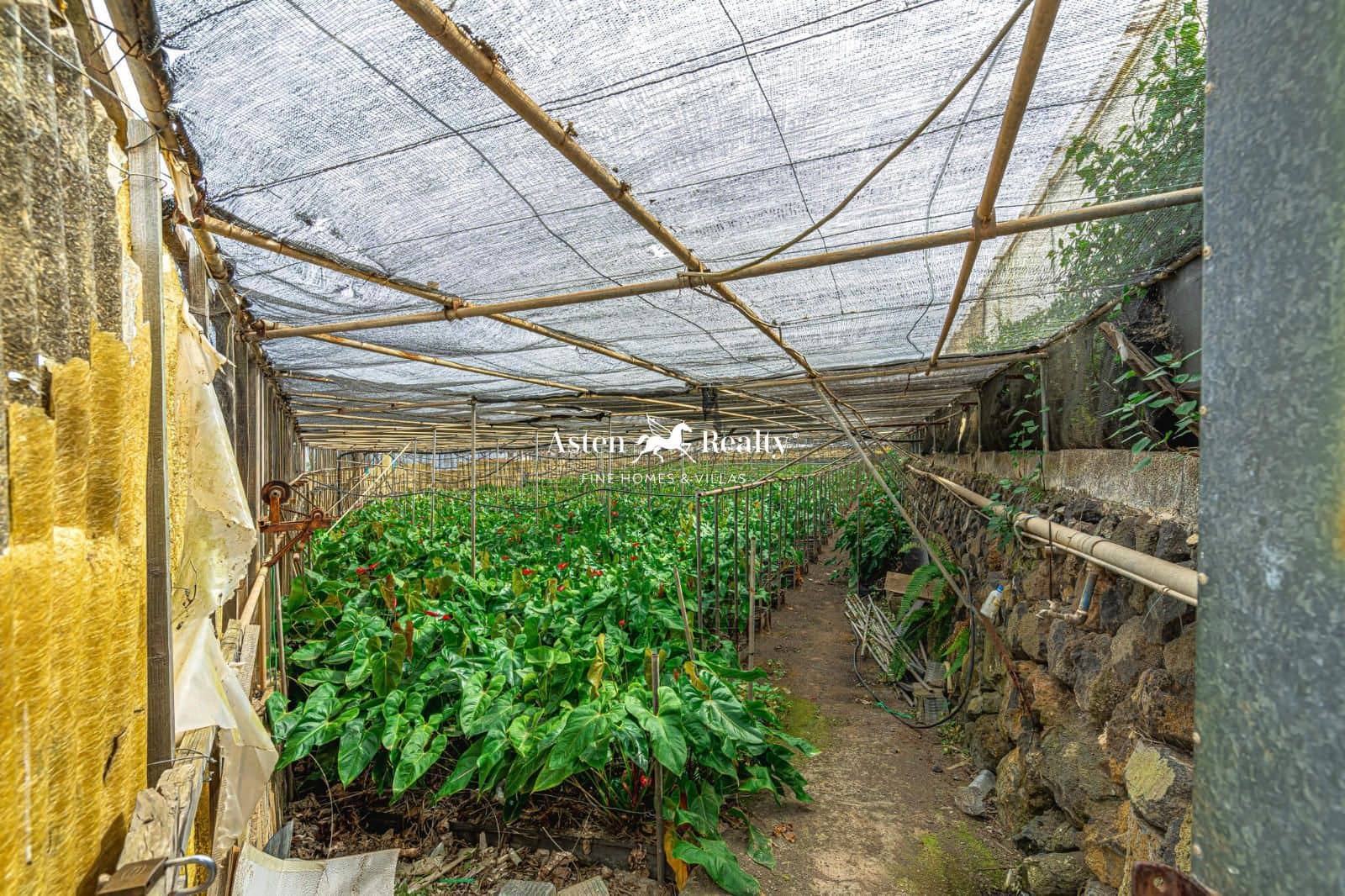 Byggetomt til salgs i San Cristobal de La Laguna - € 530 000 (Ref: 8546281)