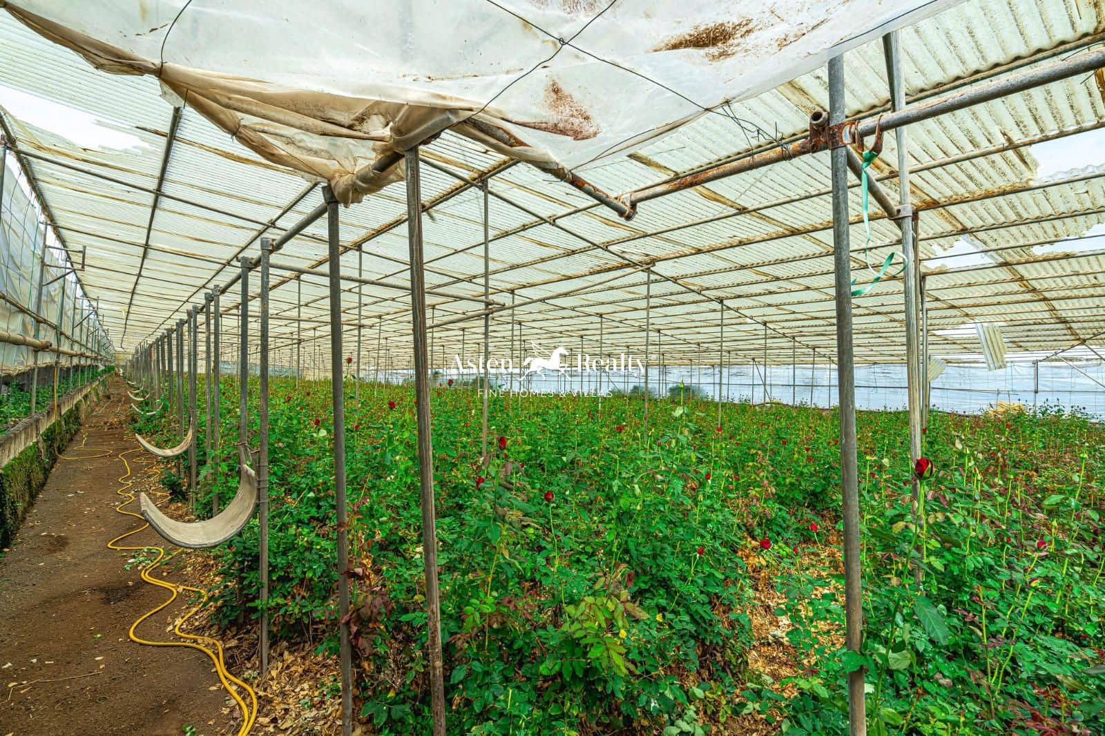 Byggetomt til salgs i San Cristobal de La Laguna - € 530 000 (Ref: 8546281)