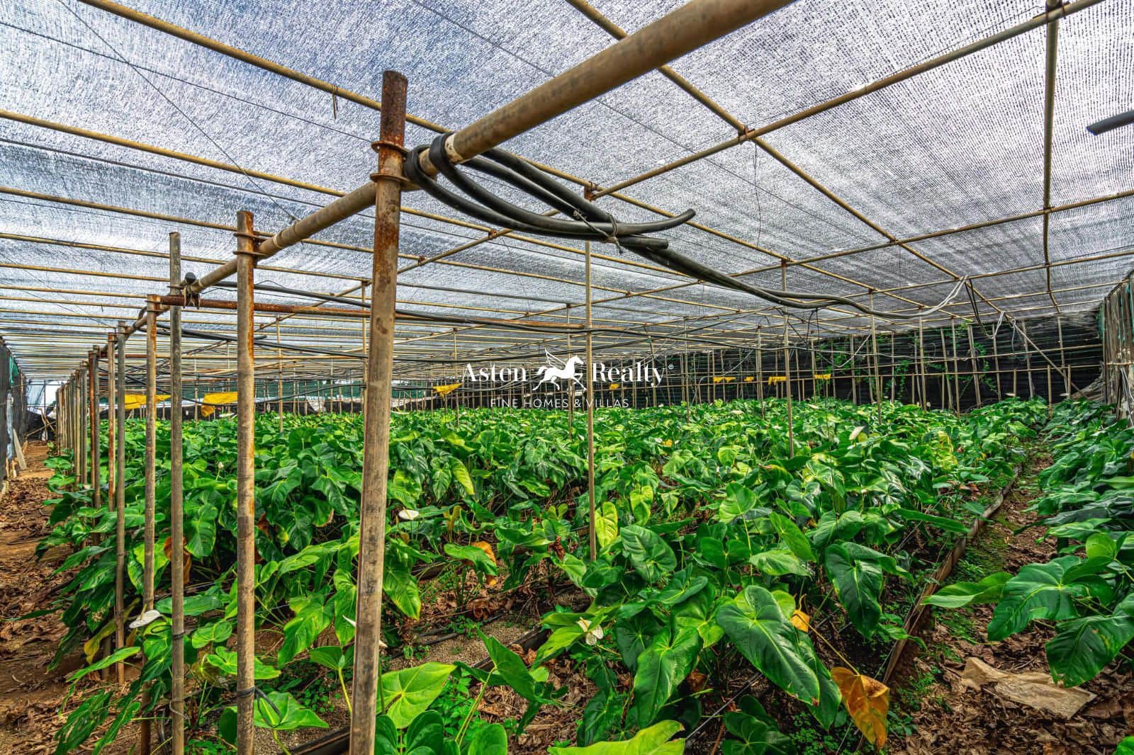 Byggetomt til salgs i San Cristobal de La Laguna - € 530 000 (Ref: 8546281)