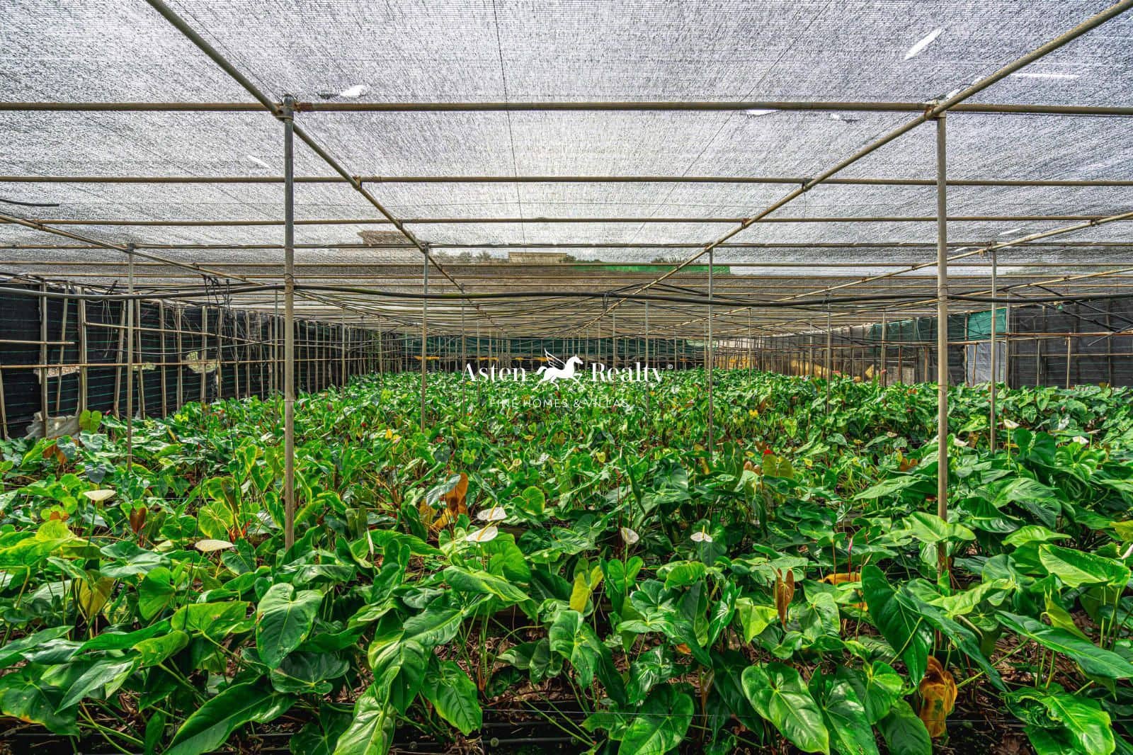 Byggetomt til salgs i San Cristobal de La Laguna - € 530 000 (Ref: 8546281)