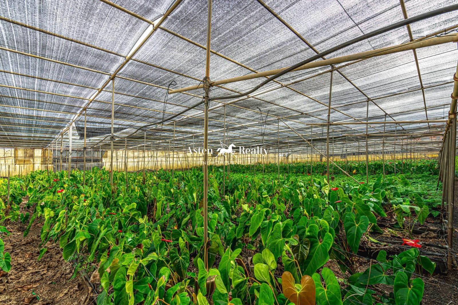 Byggetomt til salgs i San Cristobal de La Laguna - € 530 000 (Ref: 8546281)