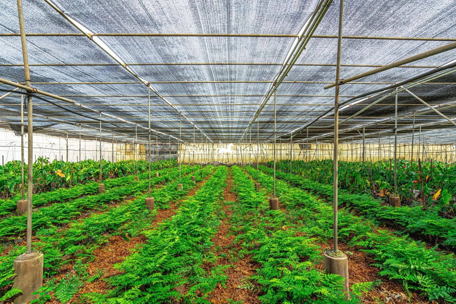 Byggetomt til salgs i San Cristobal de La Laguna - € 530 000 (Ref: 8546281)