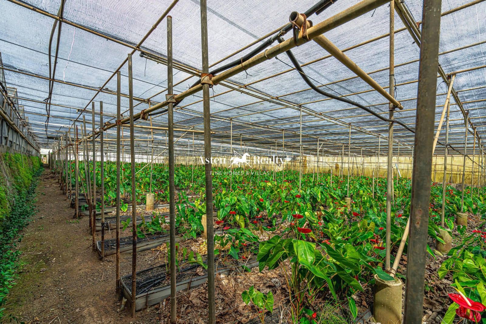 Byggetomt til salgs i San Cristobal de La Laguna - € 530 000 (Ref: 8546281)