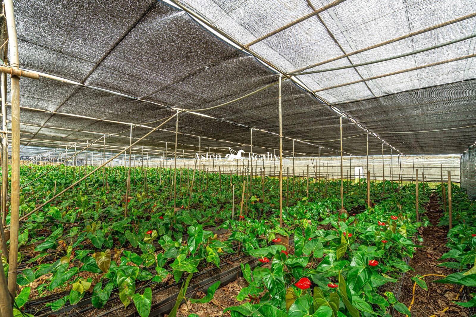 Byggetomt til salgs i San Cristobal de La Laguna - € 530 000 (Ref: 8546281)