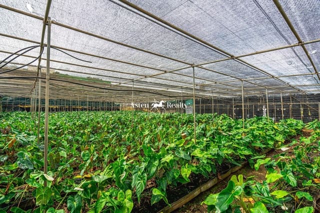 Byggegrund til salg i San Cristóbal de La Laguna - € 530.000 (Ref: 8546281)