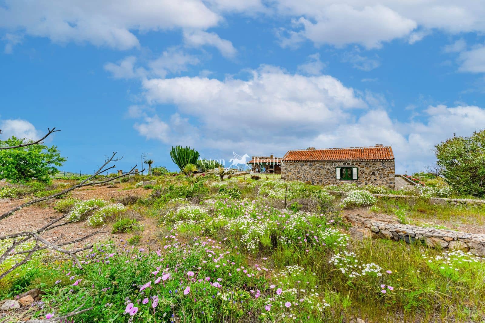 2 soveværelse Villa til salg i Tijoco Alto med garage - € 800.000 (Ref: 8983538)