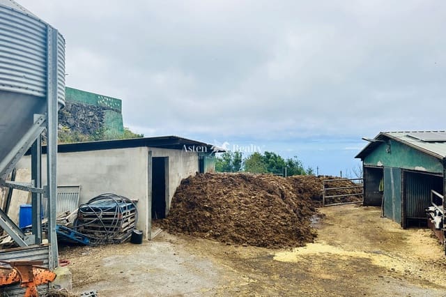 Yritys myytävänä paikassa Garachico - 480 000 € (Ref: 9142462)