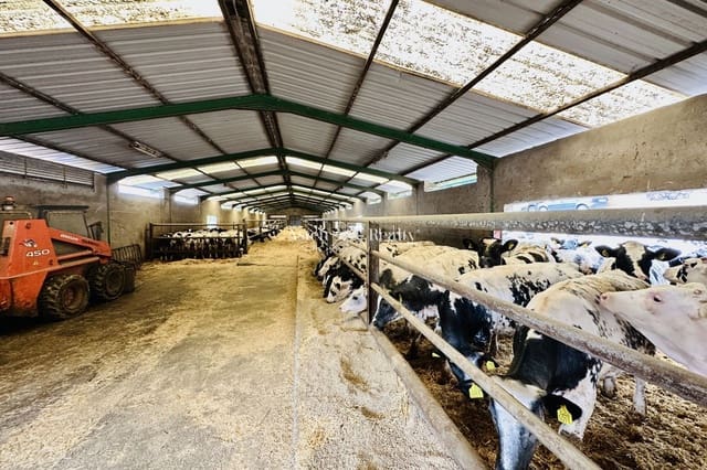 Yritys myytävänä paikassa Garachico - 480 000 € (Ref: 9142462)