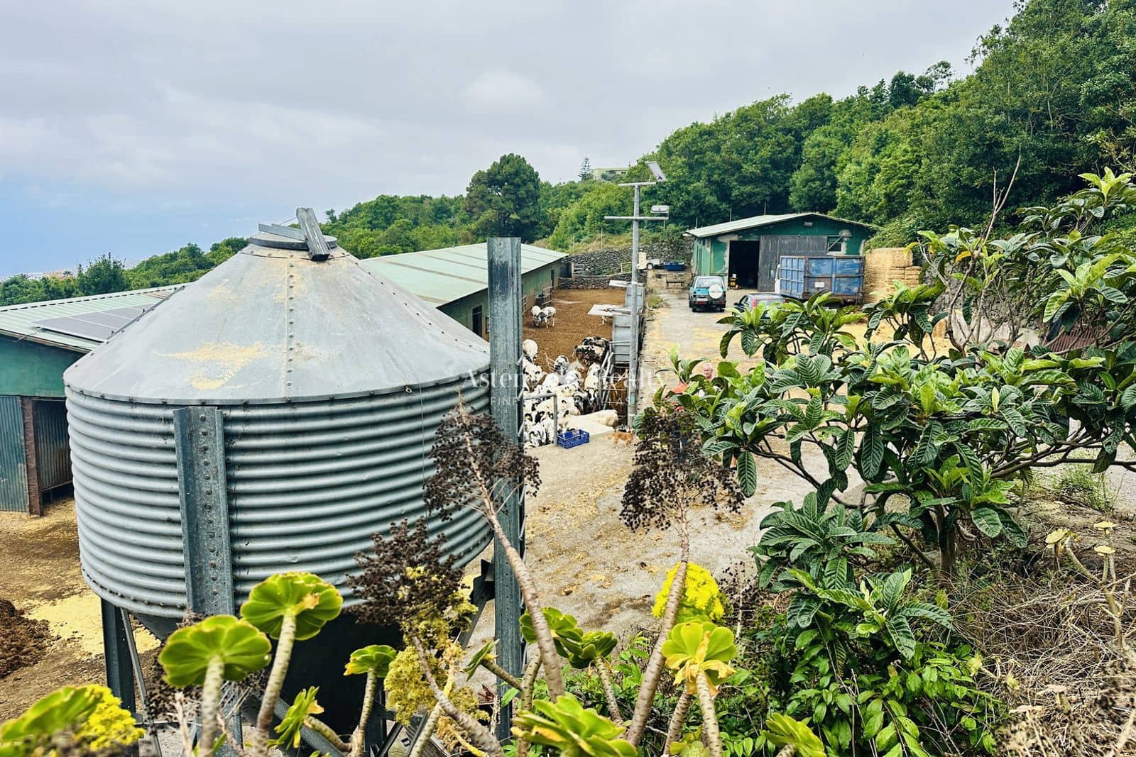 Virksomhed til salg i Garachico - € 480.000 (Ref: 9142462)