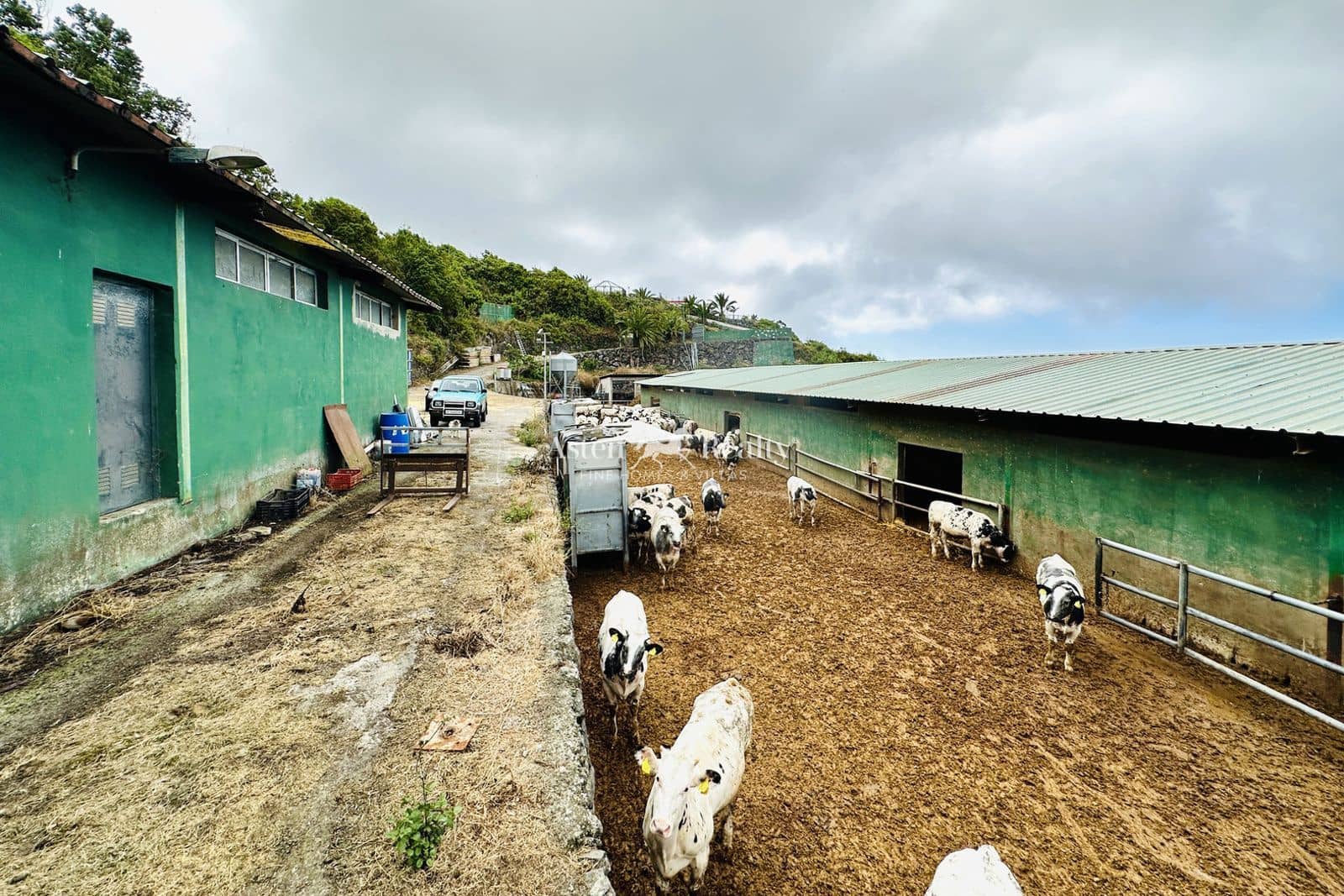 Virksomhed til salg i Garachico - € 480.000 (Ref: 9142462)