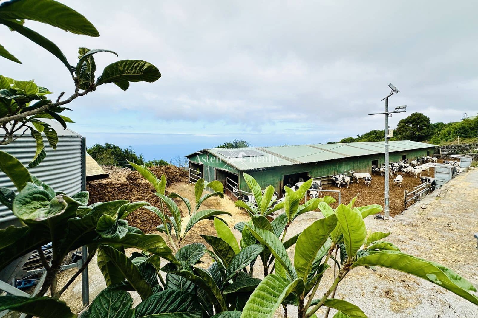 Virksomhed til salg i Garachico - € 480.000 (Ref: 9142462)