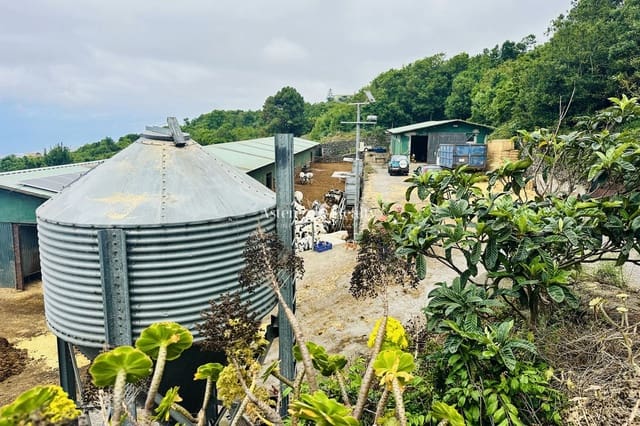 Yritys myytävänä paikassa Garachico - 480 000 € (Ref: 9142462)