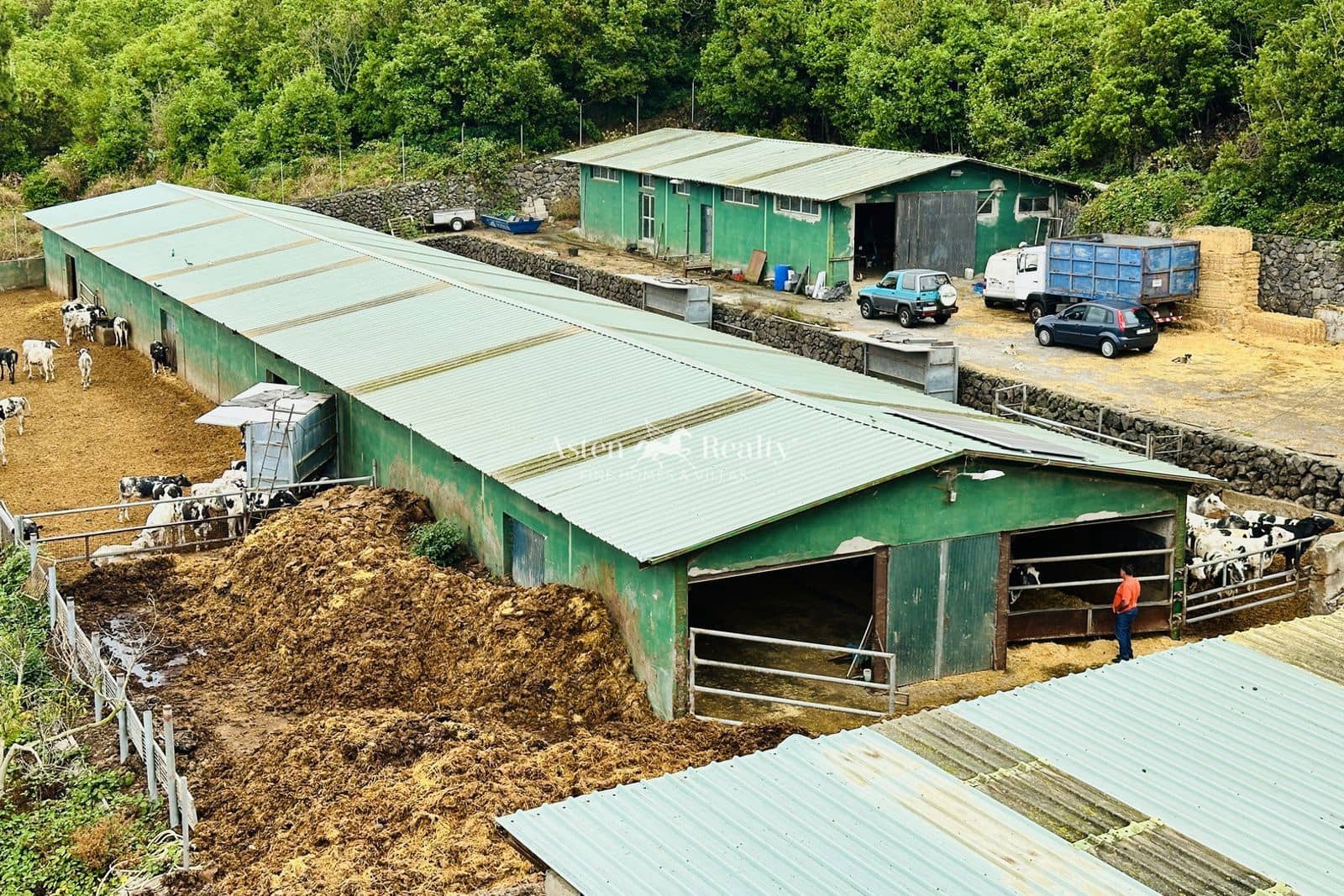 Virksomhed til salg i Garachico - € 480.000 (Ref: 9142462)