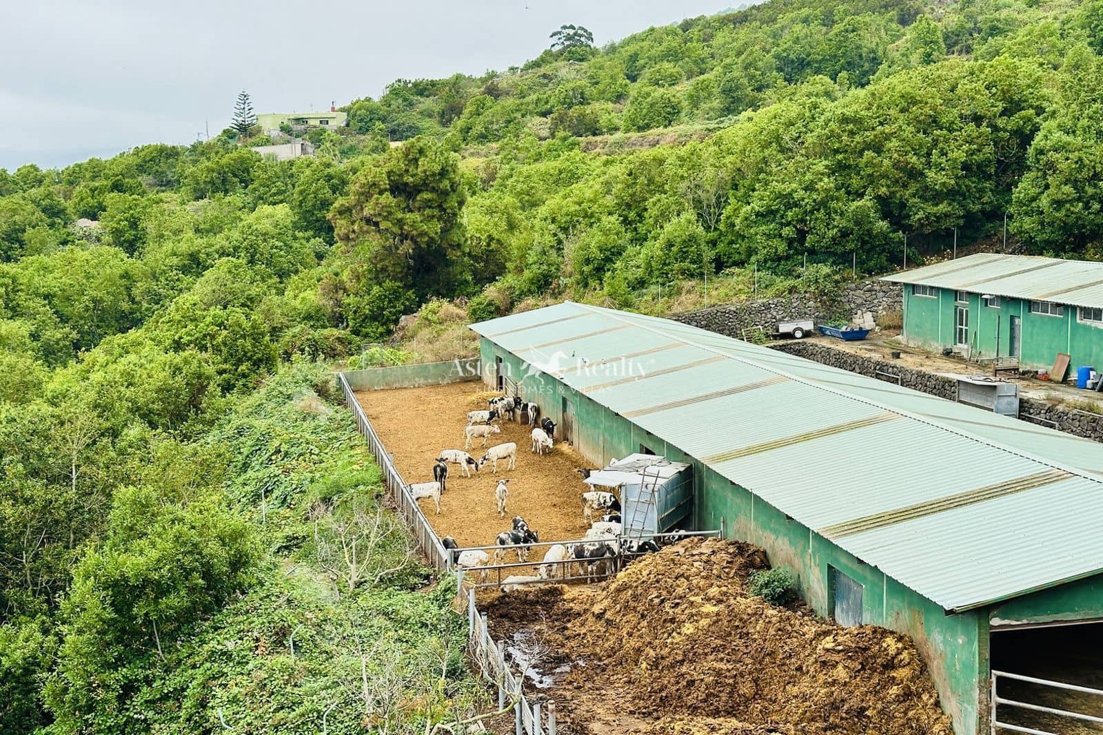 Virksomhed til salg i Garachico - € 480.000 (Ref: 9142462)