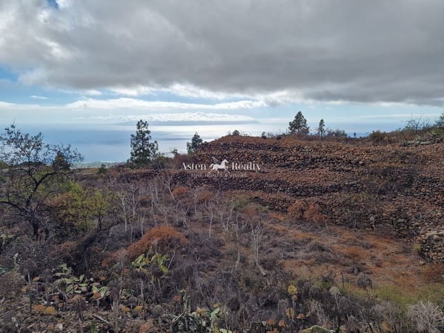 Area Edificabile in vendita in Chio, Guía de Isora - 49.000 € (Rif: 9197136)