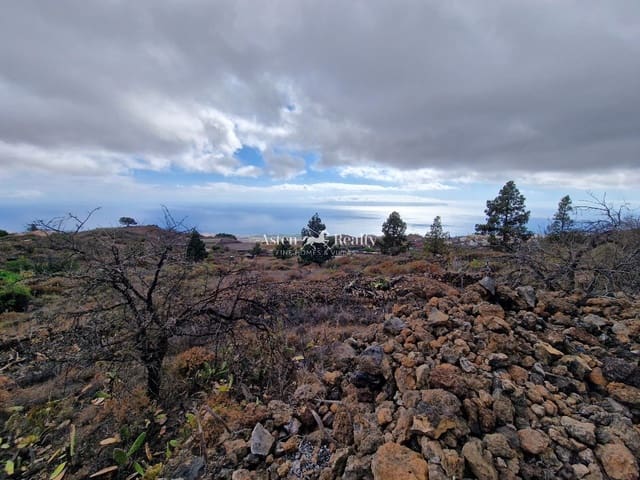 Area Edificabile in vendita in Chio, Guía de Isora - 49.000 € (Rif: 9197136)