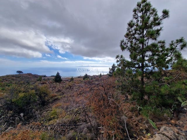 Area Edificabile in vendita in Chio, Guía de Isora - 49.000 € (Rif: 9197136)