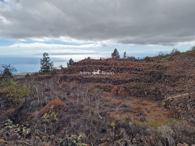 Area Edificabile in vendita in Chio, Guía de Isora - 49.000 € (Rif: 9197136)