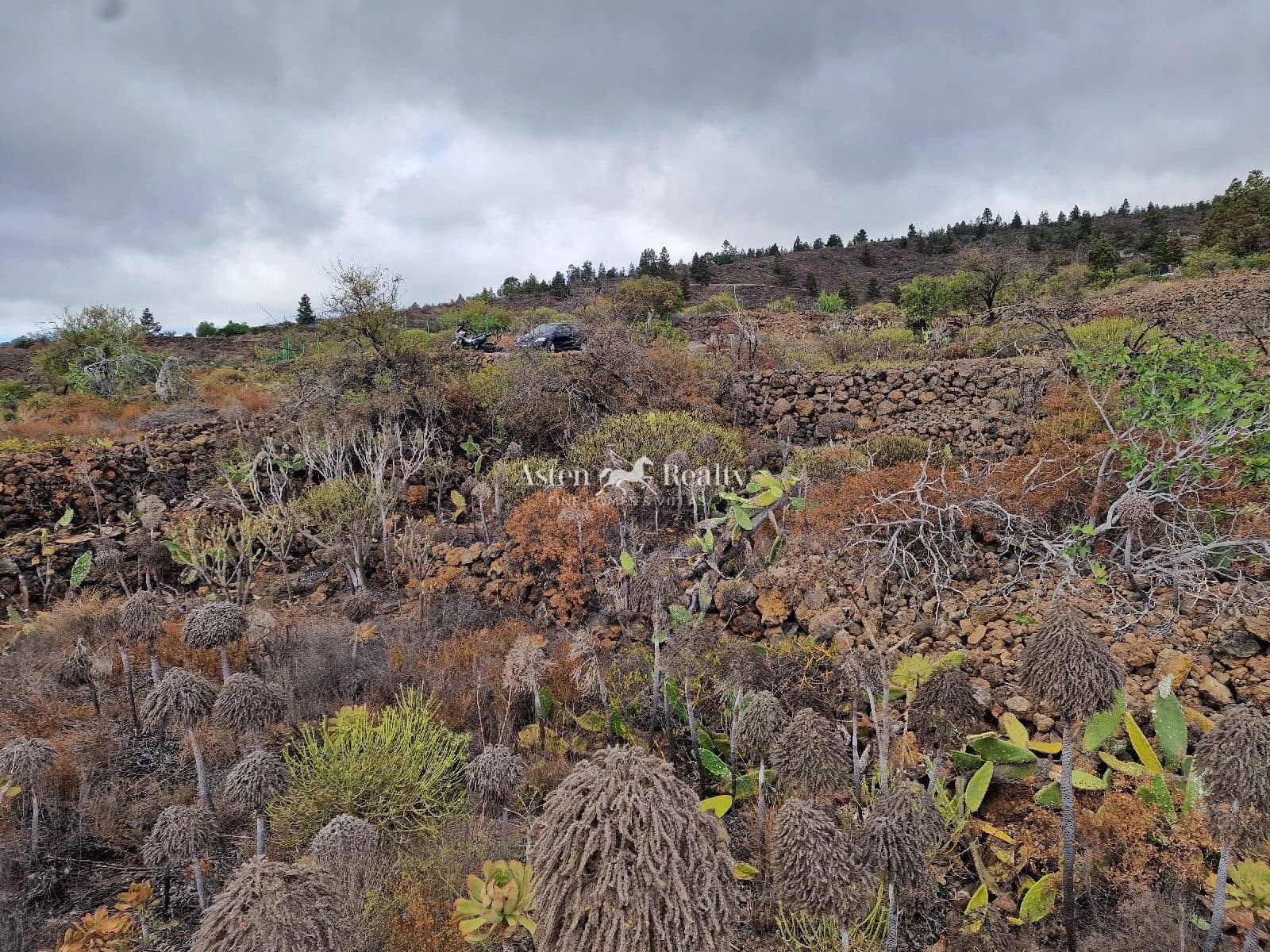 Byggetomt til salgs i Chio - € 49 000 (Ref: 9197136)