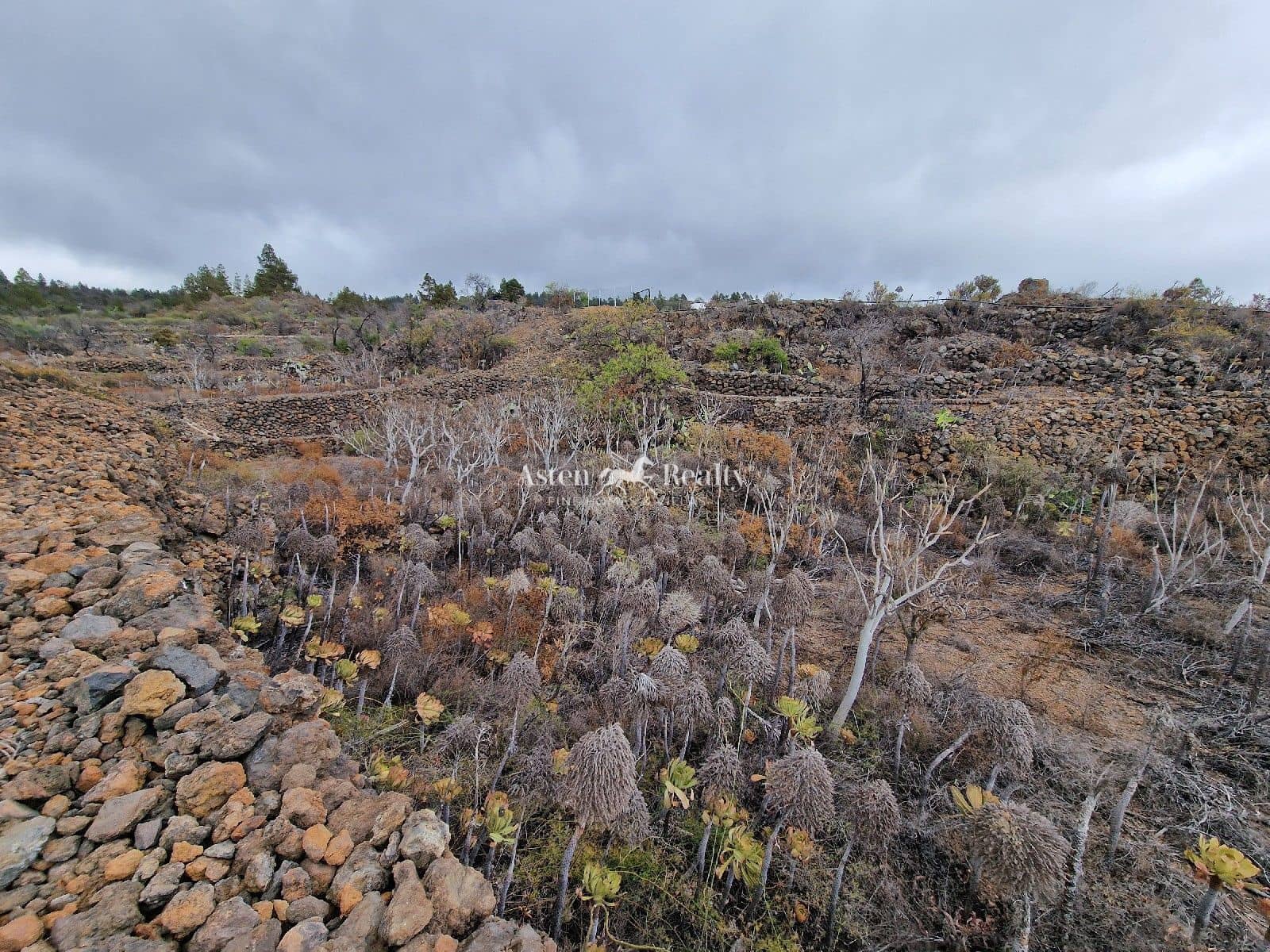 Byggetomt til salgs i Chio - € 49 000 (Ref: 9197136)