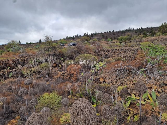 Area Edificabile in vendita in Chio, Guía de Isora - 49.000 € (Rif: 9197136)