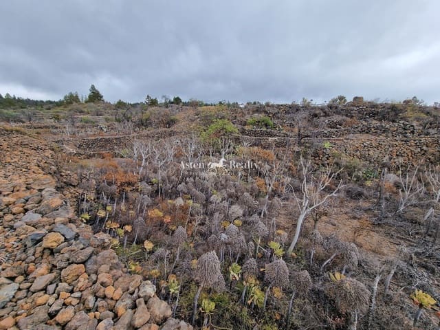 Area Edificabile in vendita in Chio, Guía de Isora - 49.000 € (Rif: 9197136)