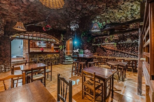 Yritys myytävänä paikassa Playa San Juan, Guía de Isora - 1 200 000 € (Ref: 9289385)