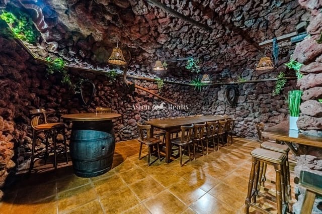 Yritys myytävänä paikassa Playa San Juan, Guía de Isora - 1 200 000 € (Ref: 9289385)