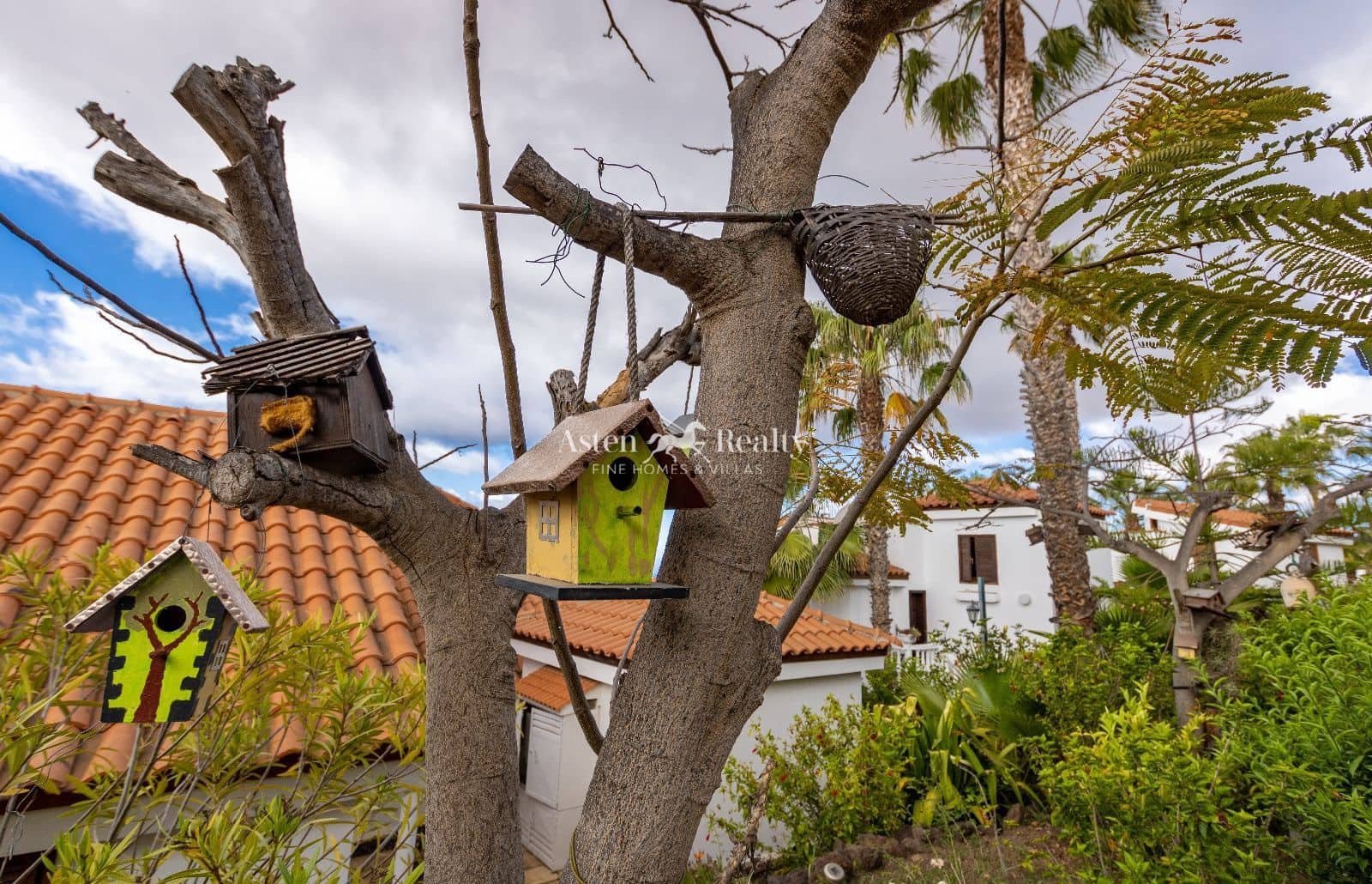 27 bedroom Restaurant/Bar for sale in Chayofa with garage - € 3,500,000 (Ref: 9432743)