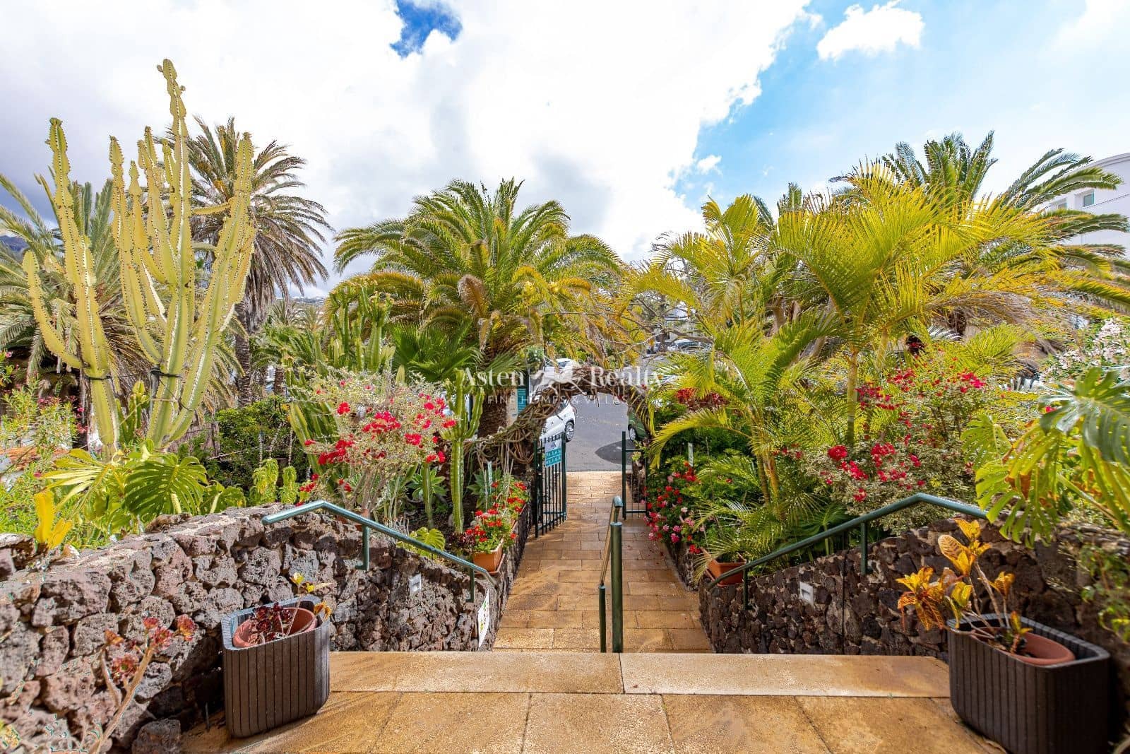 27 bedroom Restaurant/Bar for sale in Chayofa with garage - € 3,500,000 (Ref: 9432743)