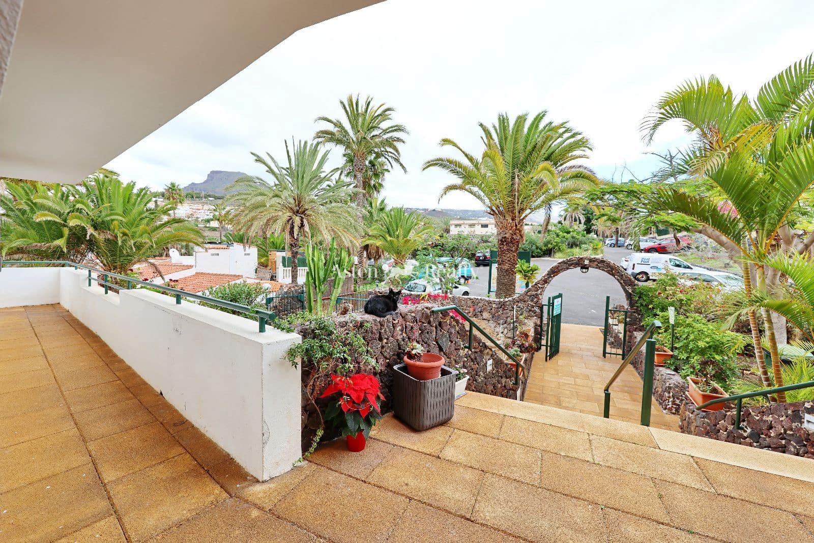 27 bedroom Restaurant/Bar for sale in Chayofa with garage - € 3,500,000 (Ref: 9432743)