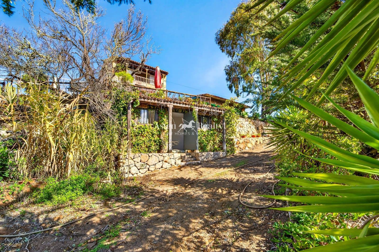 Byggegrund til salg i Vilaflor - € 799.000 (Ref: 9539628)