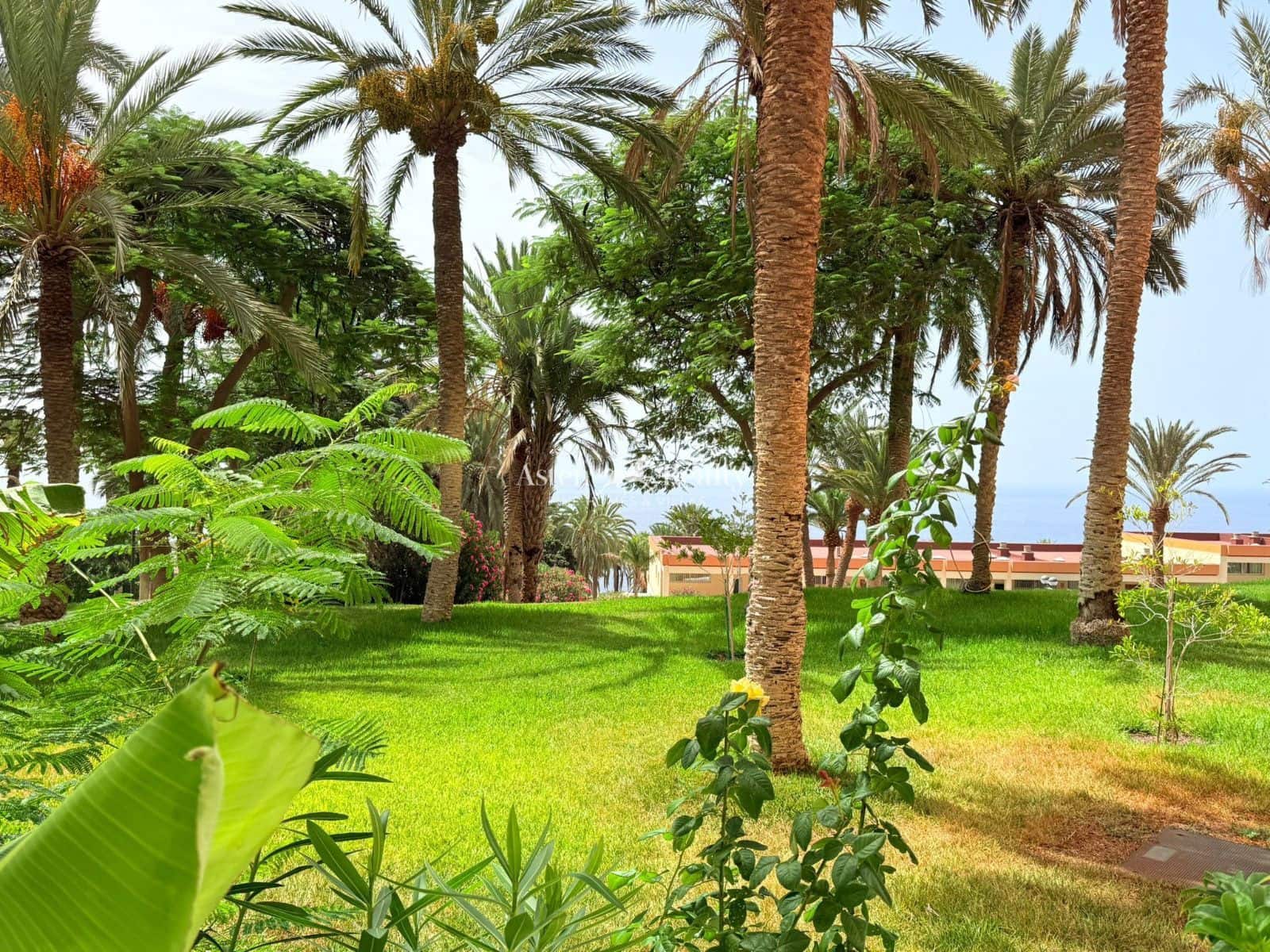 3 soveværelse Penthouse til salg i Marazul med swimmingpool garage - € 1.050.000 (Ref: 9591936)