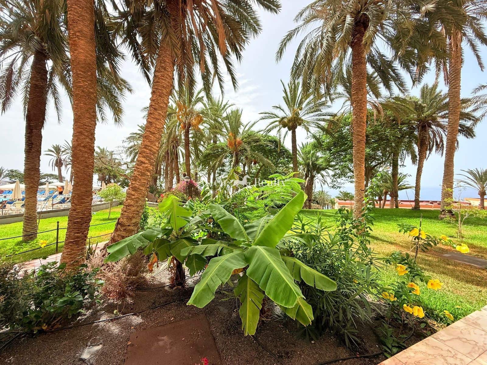 3 soveværelse Penthouse til salg i Marazul med swimmingpool garage - € 1.050.000 (Ref: 9591936)