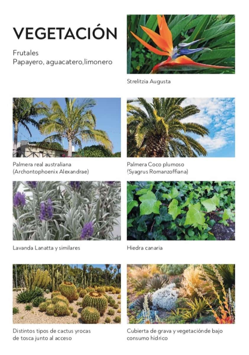 Bouwgrond te koop in Playa San Juan - € 3.150.000 (Ref: 9758237)