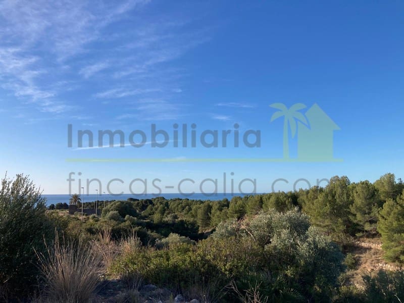 1 sypialnia Dom na sprzedaż w Peniscola - 159 000 € (Ref: 10070765)